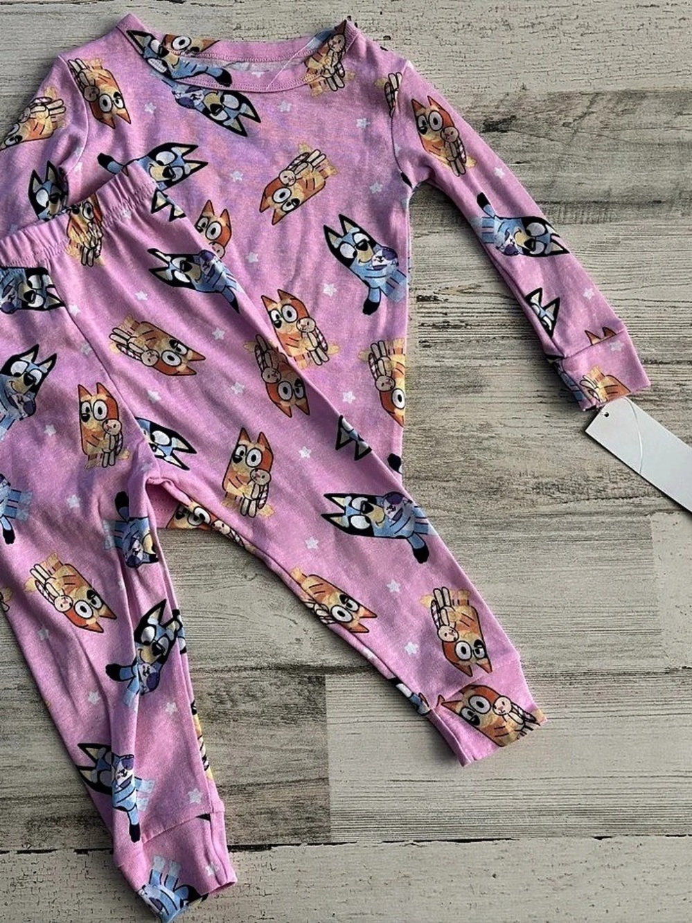 Bluey Pajama Set Girls 2T Pink & Blue NWT